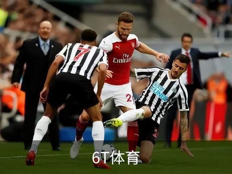 6T体育简介